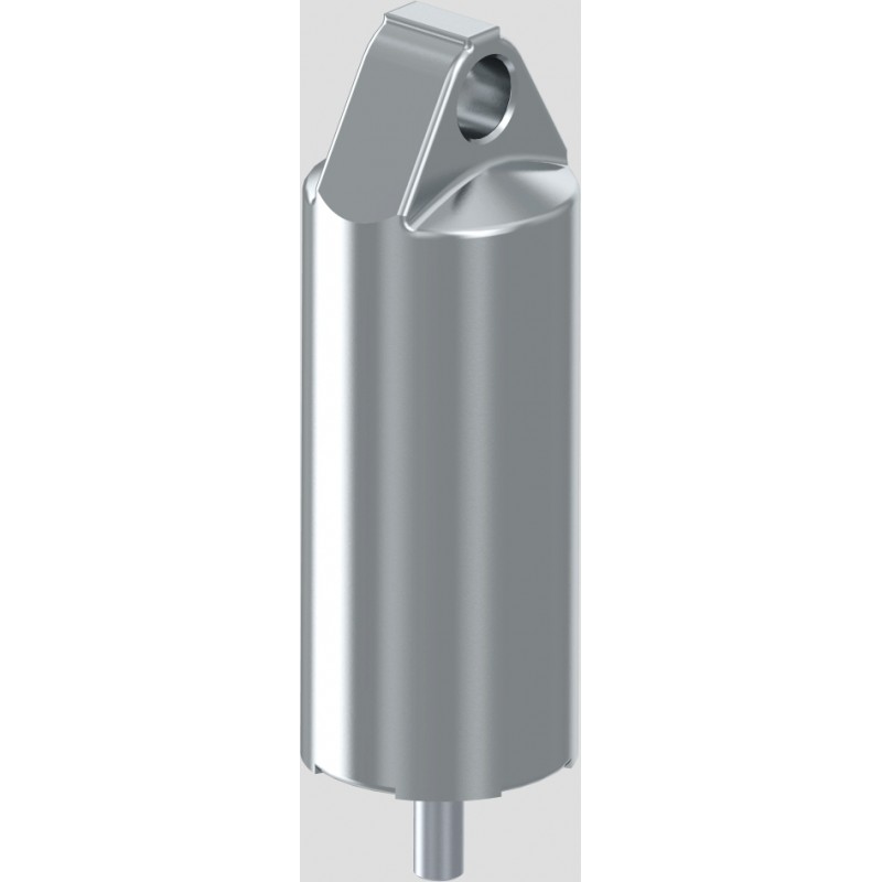 Cilindro de trabajo freno motor Scania - 78,65 €