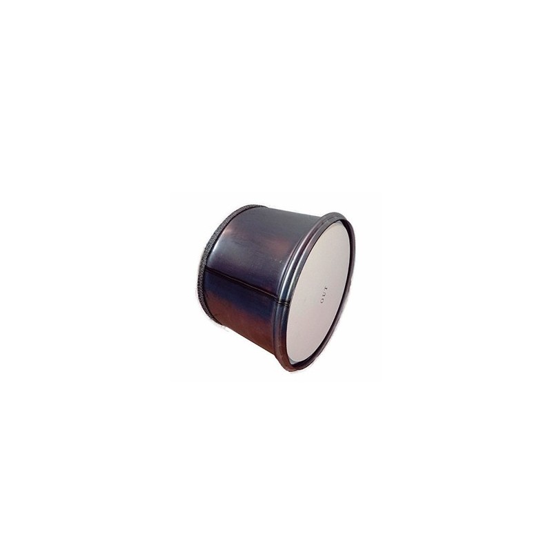 Filtro de particulas camión man euro6 tgx-tgs, con abrazaderas - 1.724,30 €